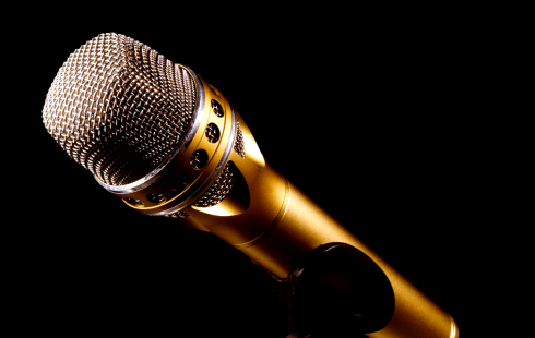 Mikrophon auf Halterung