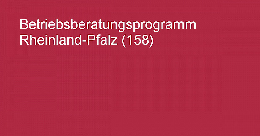 Weißer Text auf rotem Grund: Betriebsberatungsprogramm Rheinland-Pfalz (158)